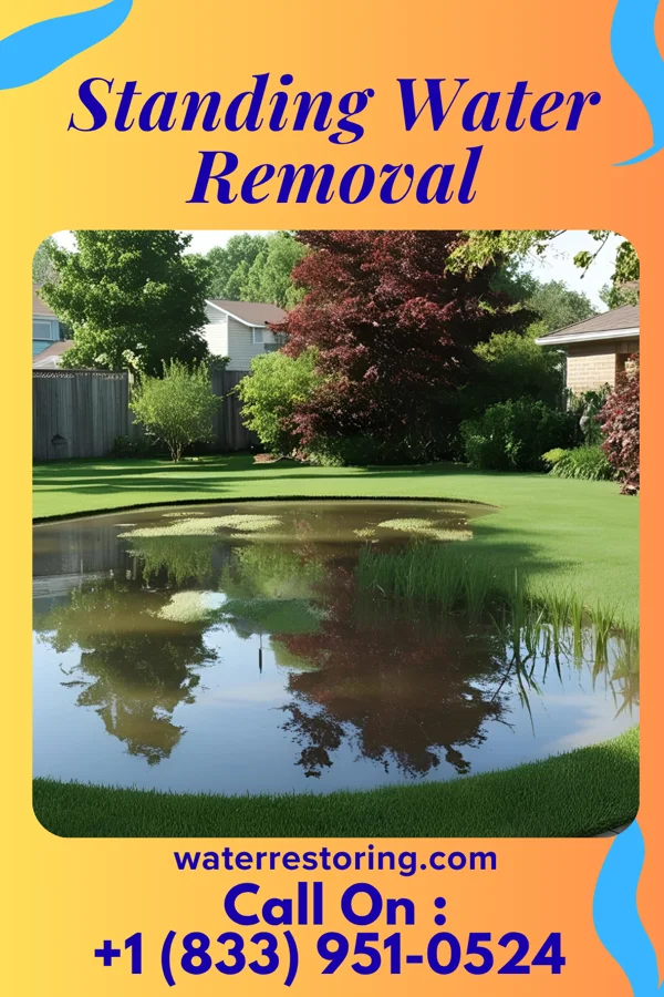 Standing Water Removal in Caruthersville, MO